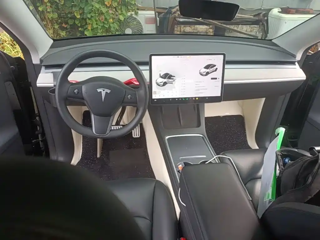 Tesla Model Y — миниатюра 10