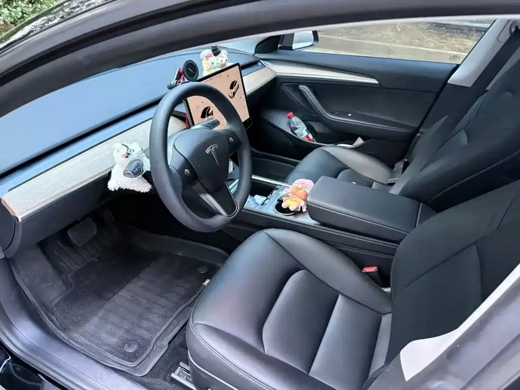 Tesla Model 3 — миниатюра 4