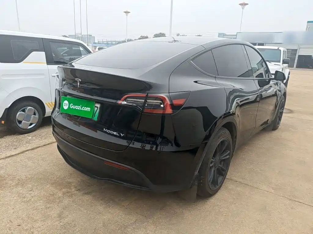 Tesla Model Y — миниатюра 7