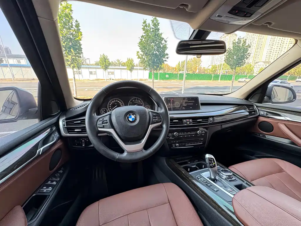 BMW X5 (Import) — миниатюра 21