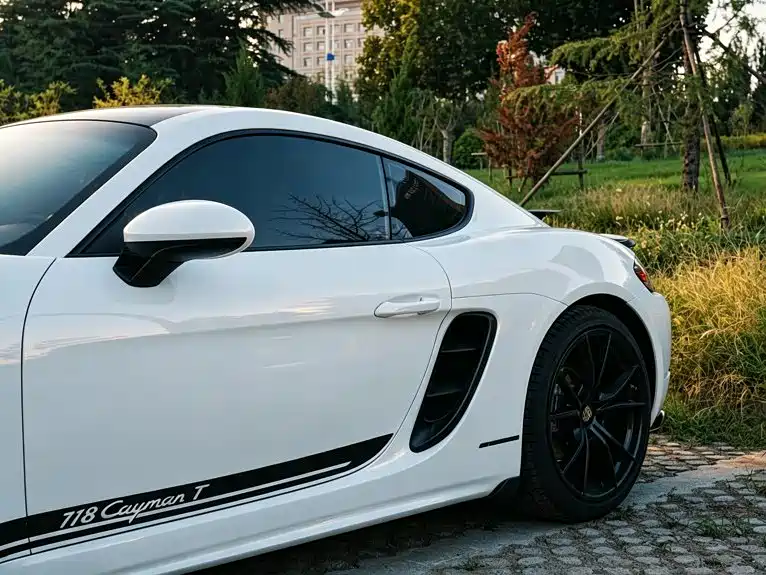 Porsche 718 — миниатюра 12