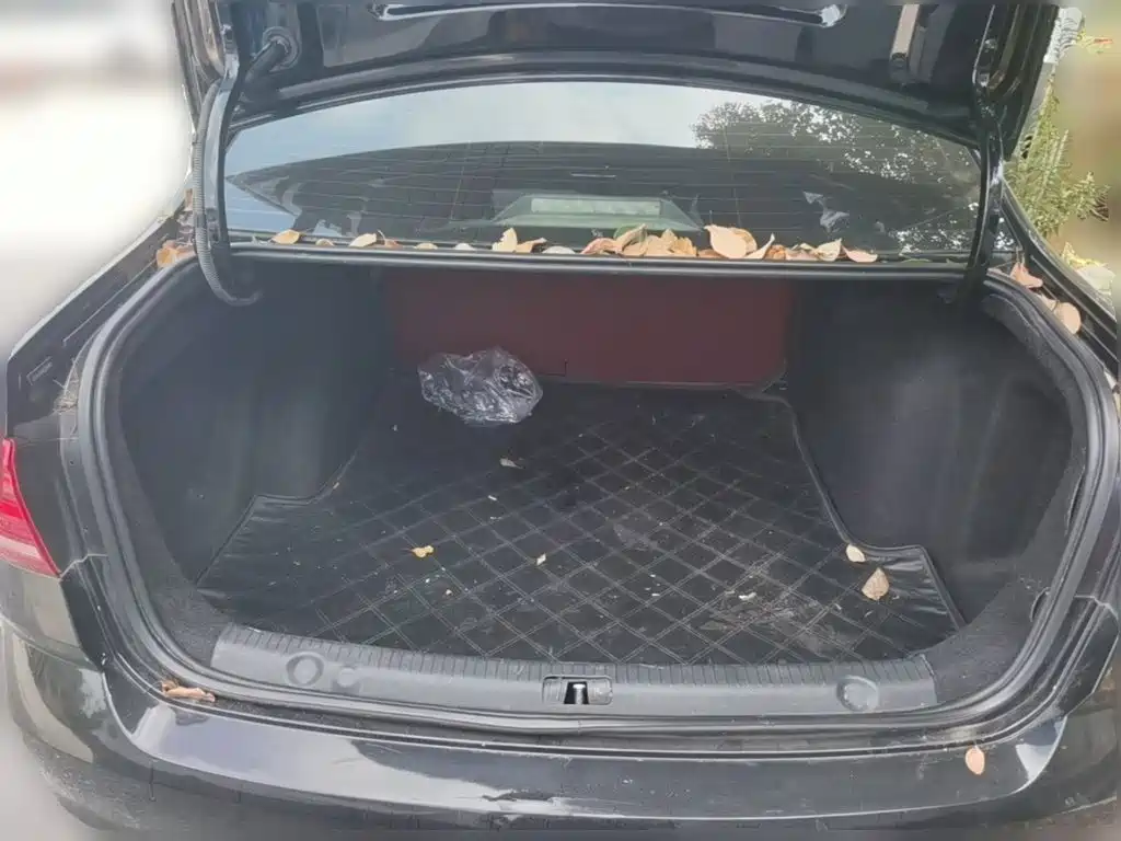 Volkswagen Lavida — миниатюра 24