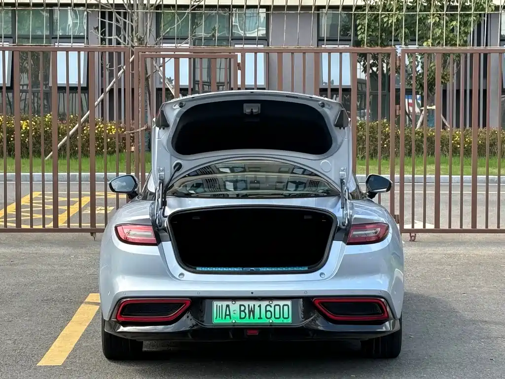 Neta Neta GT — миниатюра 19