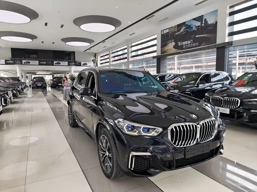 BMW X5 — миниатюра 3