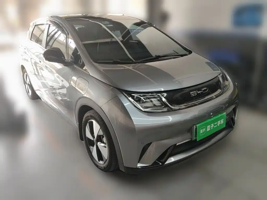 BYD Dolphin — миниатюра 24