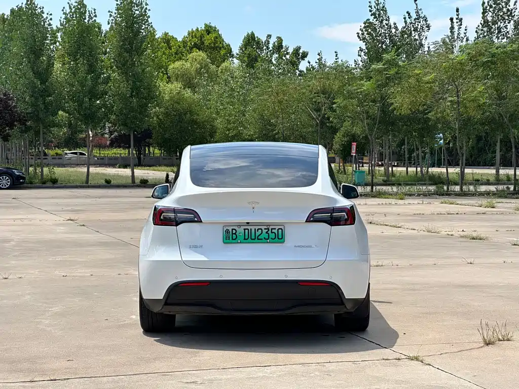 Tesla Model Y — миниатюра 5