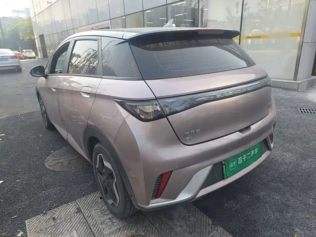 BYD Dolphin — миниатюра 5