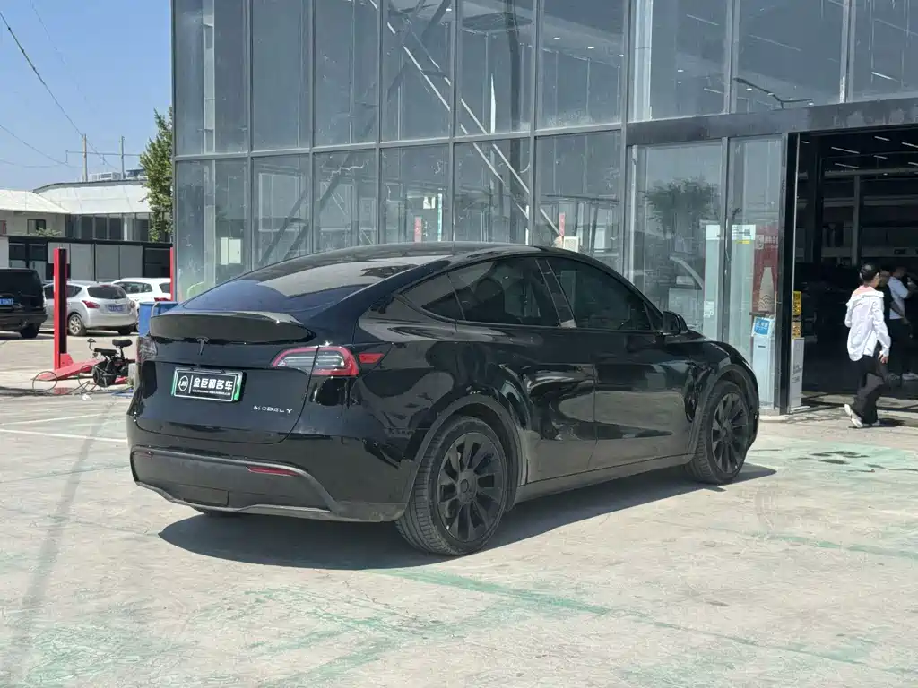 Tesla Model Y — миниатюра 10