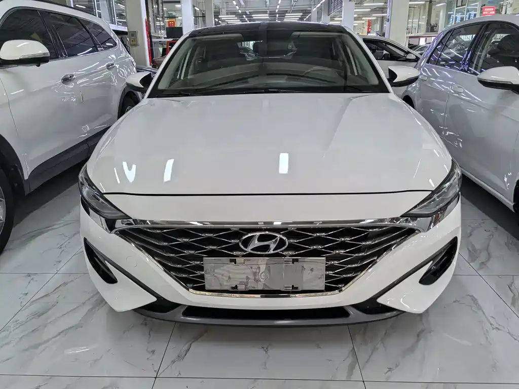 Hyundai Fista — миниатюра 2