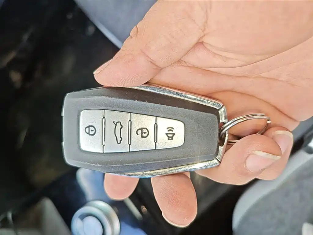 Geely E Firefly E 2024 301km