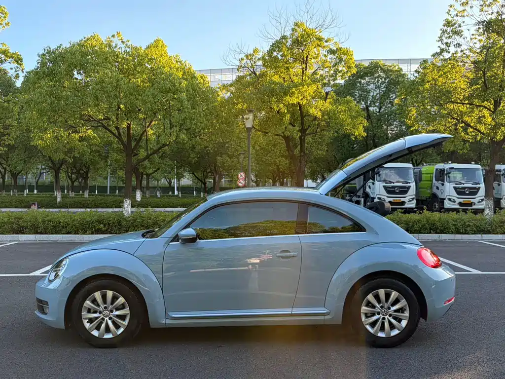 Volkswagen Beetle — миниатюра 14