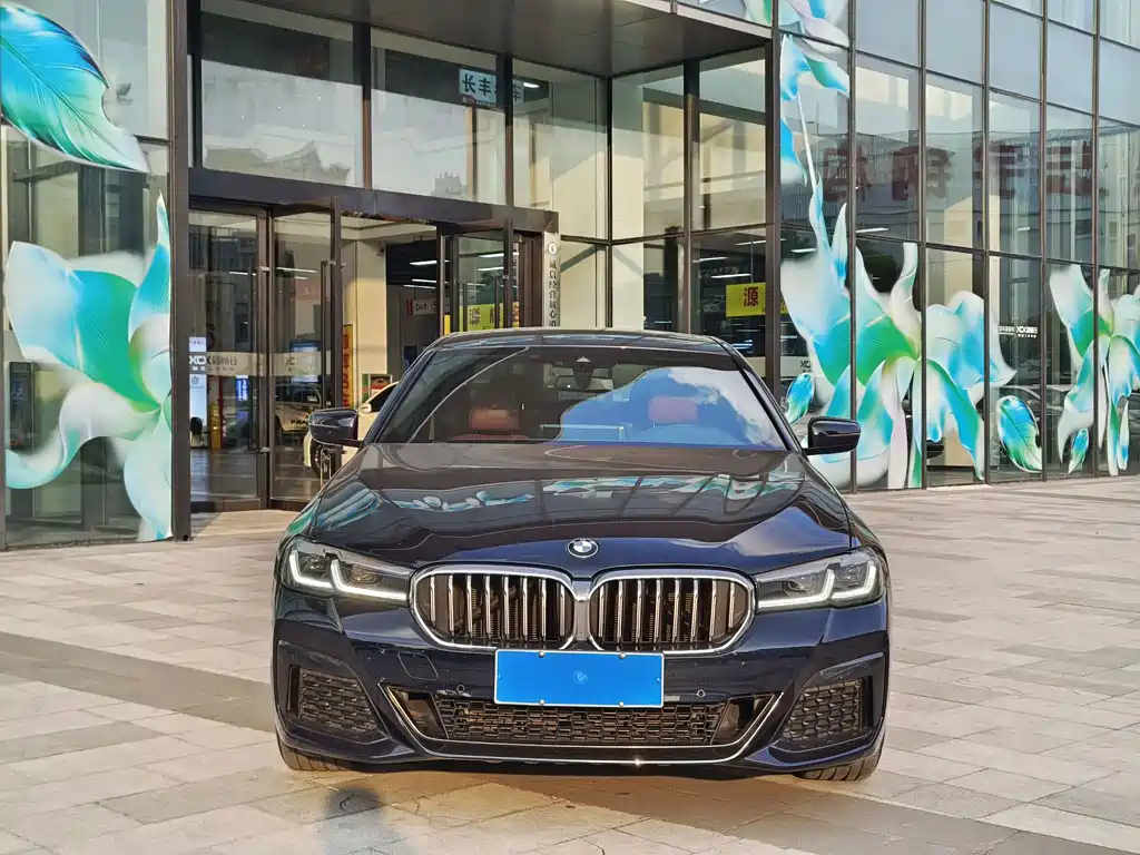 BMW 5 Series — миниатюра 2