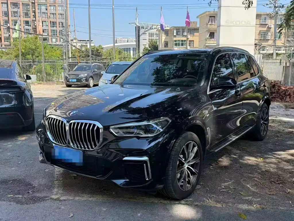 BMW X5 — миниатюра 7