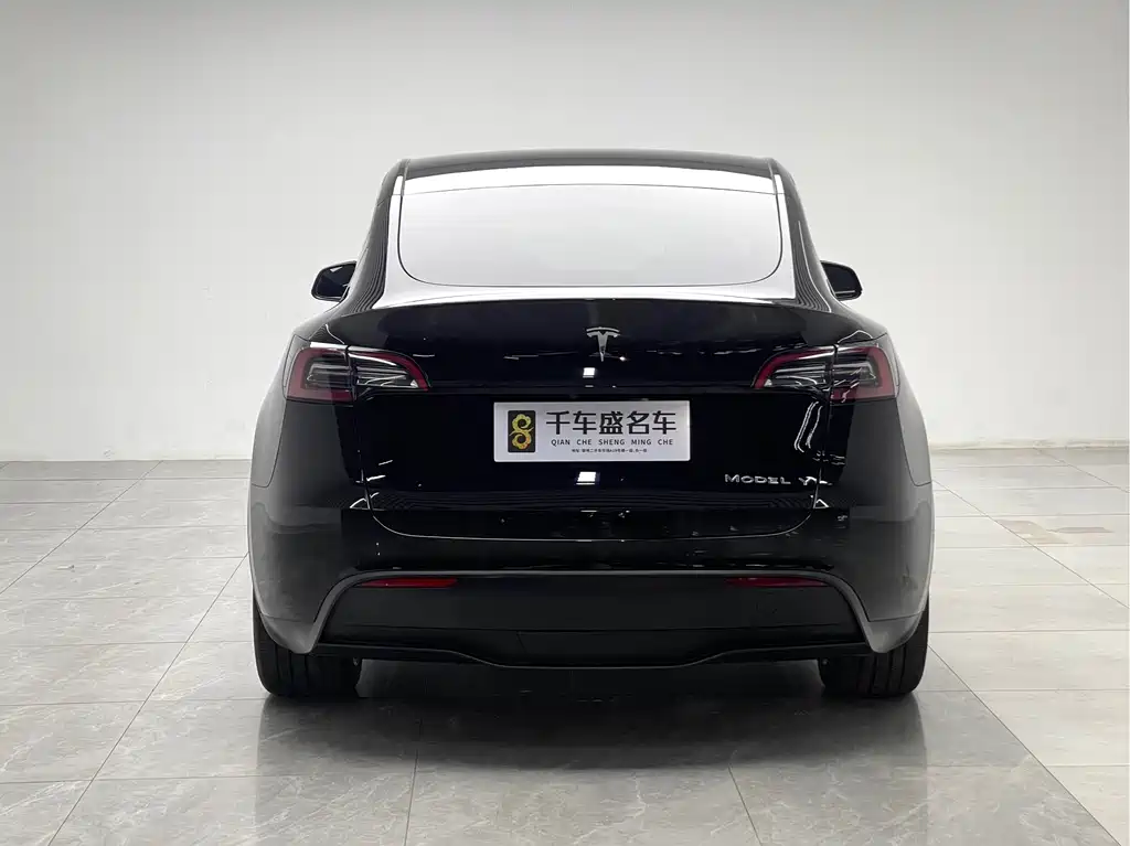 Tesla Model Y — миниатюра 5