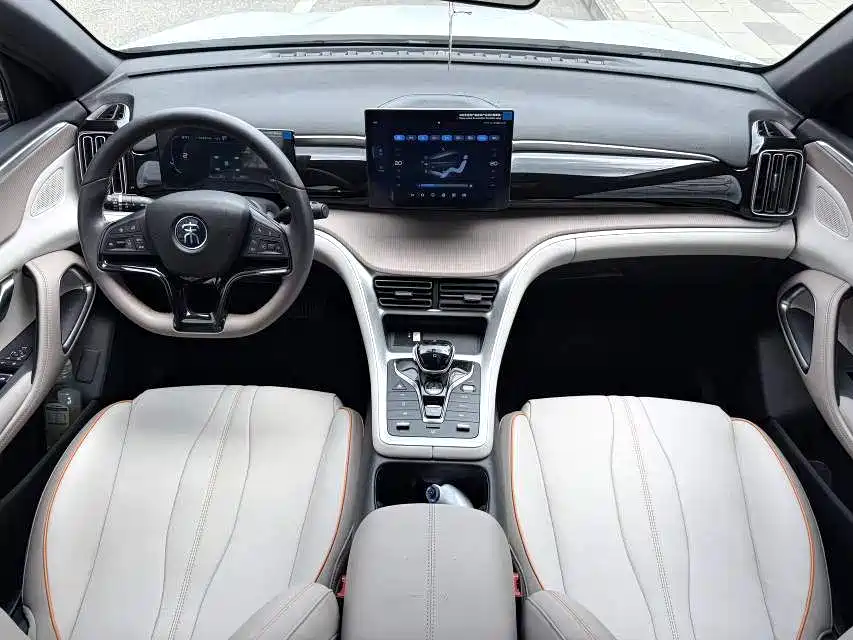 BYD Pro New Energy — миниатюра 9