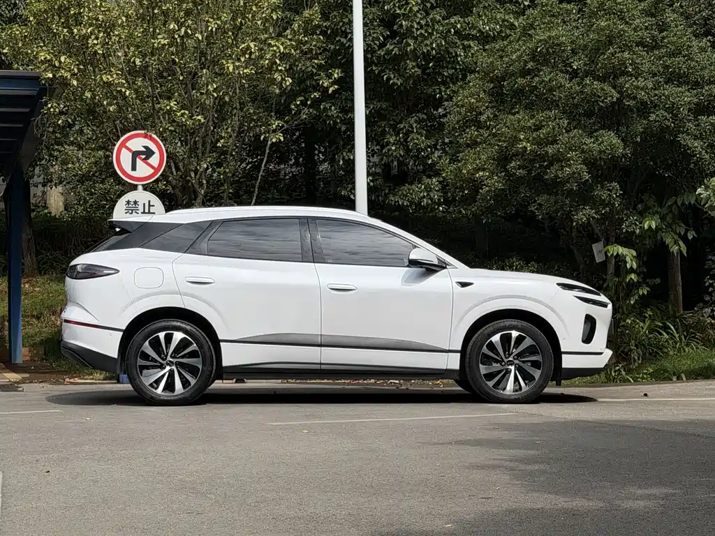 BYD Sealion 06 — миниатюра 5