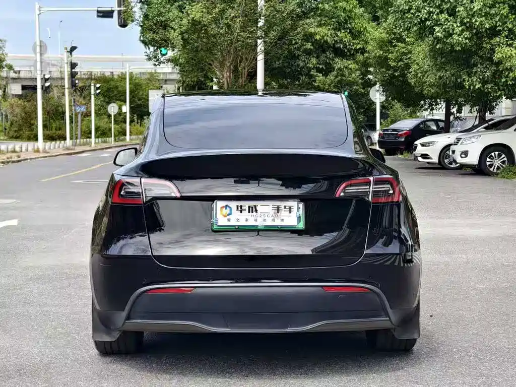 Tesla Model Y — миниатюра 4