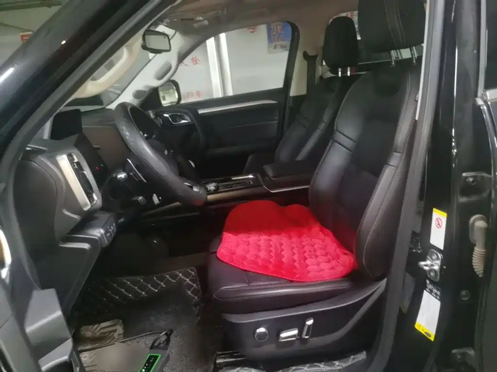 Haval Big Dog — миниатюра 15