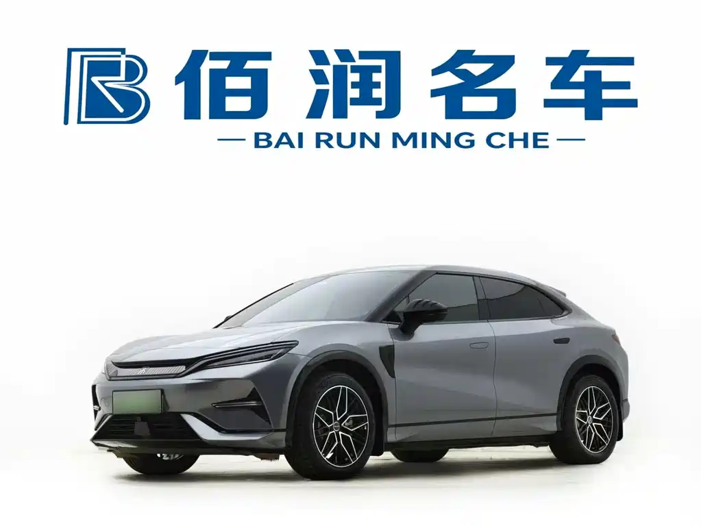 BYD L EV