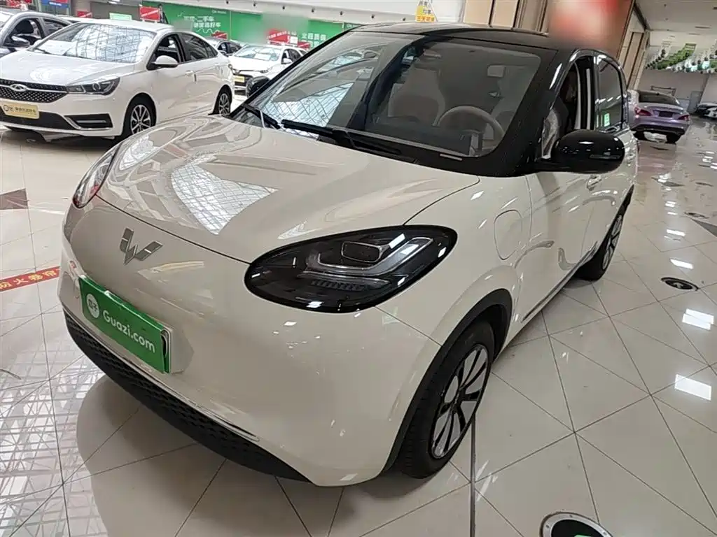 Wuling Binguo 2025 333km Delight