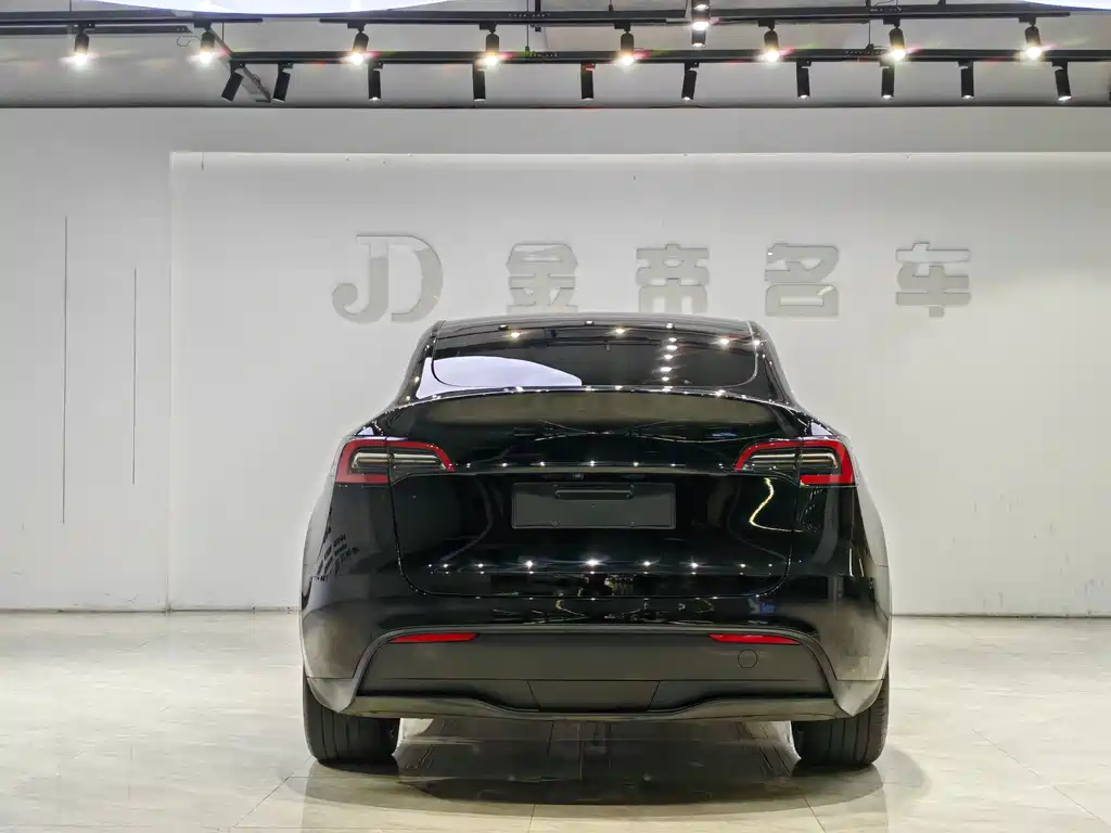 Tesla Model Y — миниатюра 14