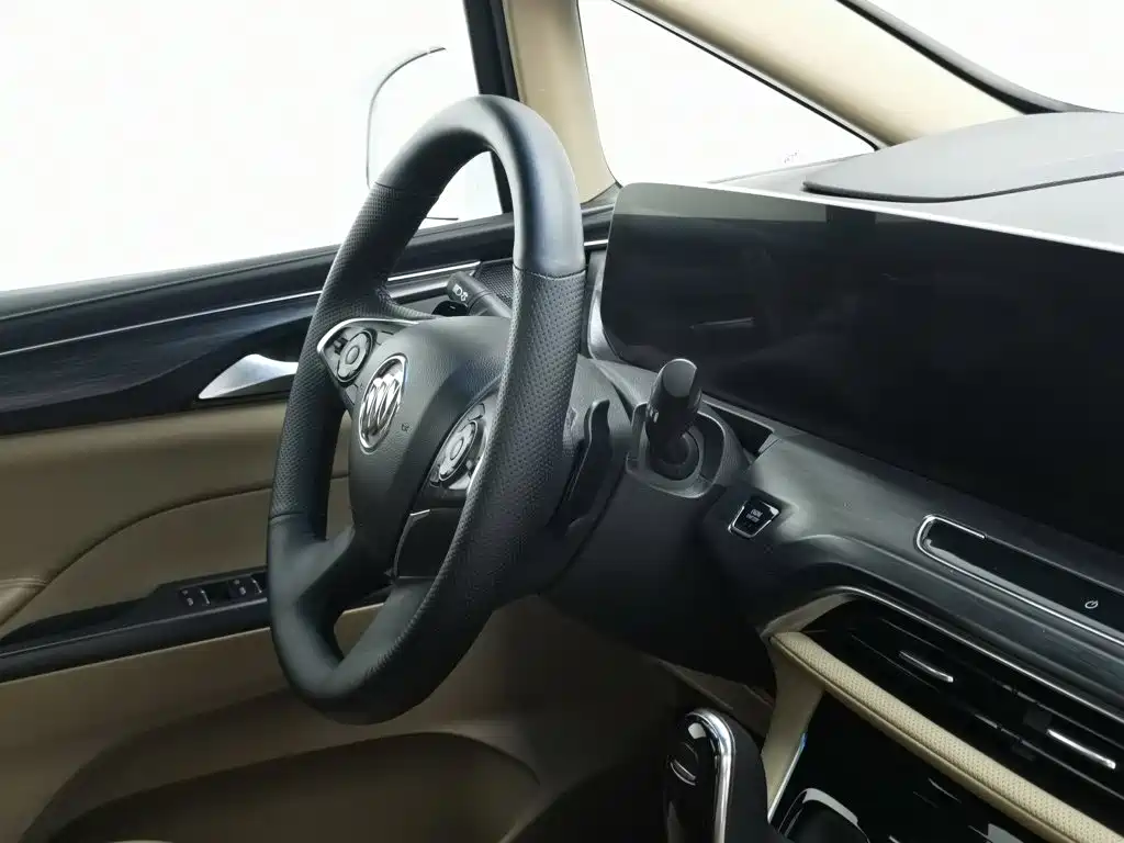 Buick GL8 — миниатюра 22