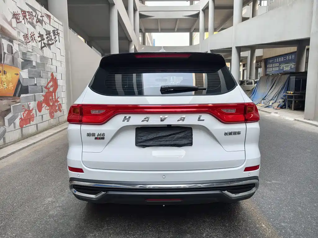 HAVAL M6