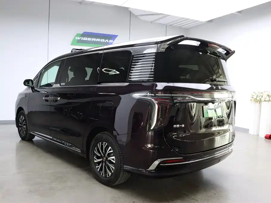 Hongqi HQ9 PHEV 2.0T 4WD Business Edition, фото 6