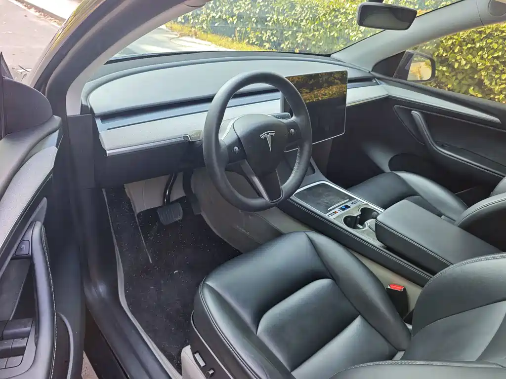 Tesla Model Y — миниатюра 4
