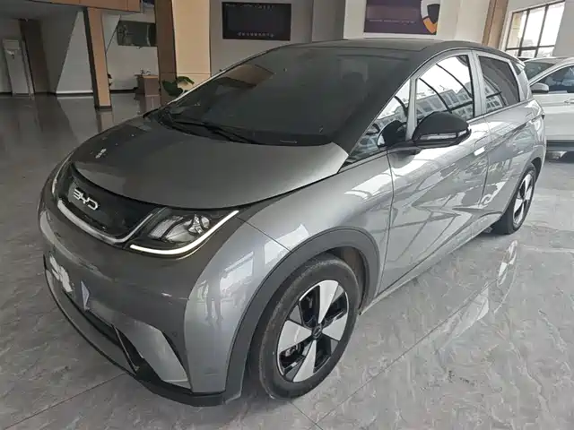 2023 BYD Dolphin