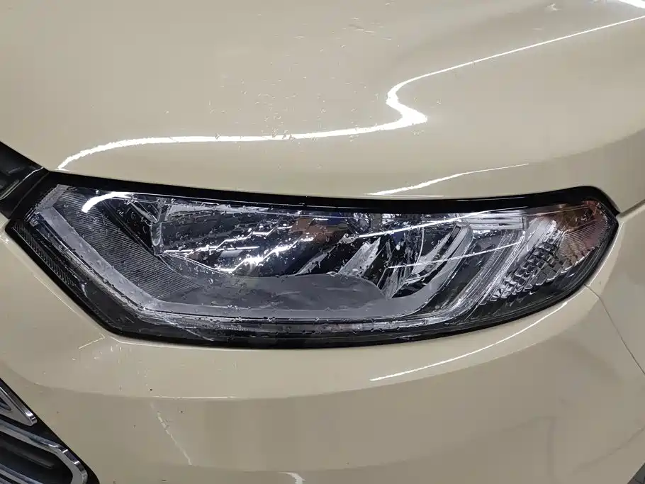 Ford Ecosport — миниатюра 5