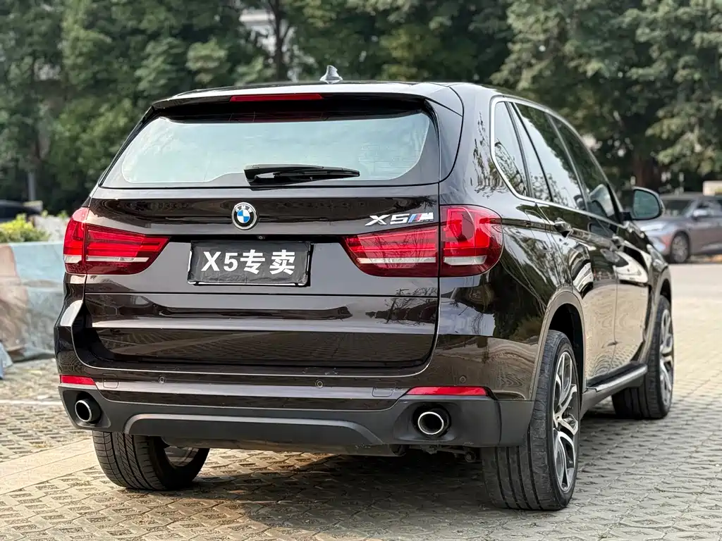 BMW X5 (Import) — миниатюра 4