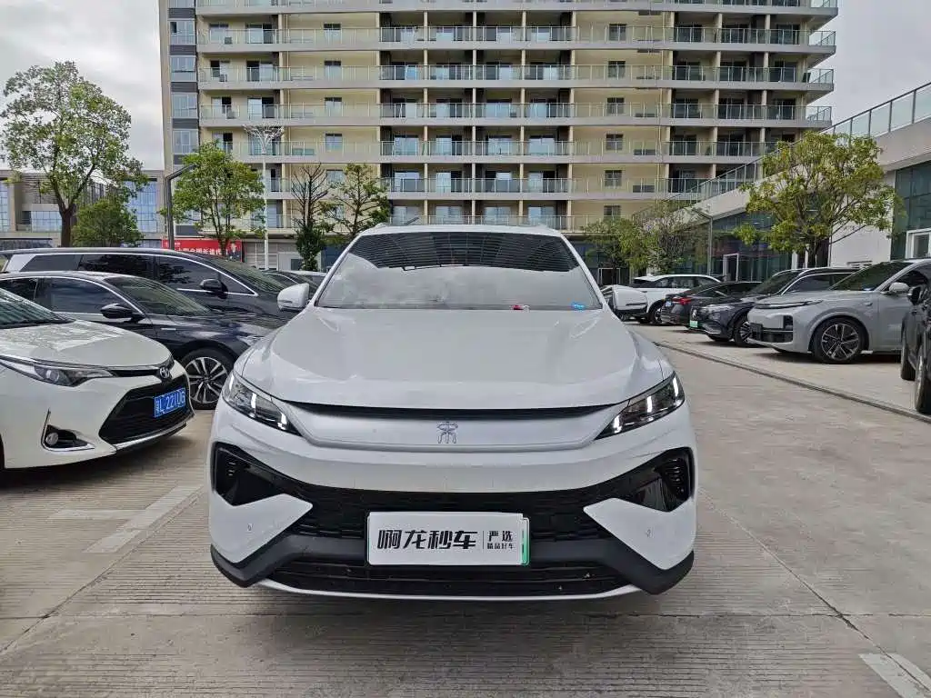 BYD Pro New Energy — миниатюра 2