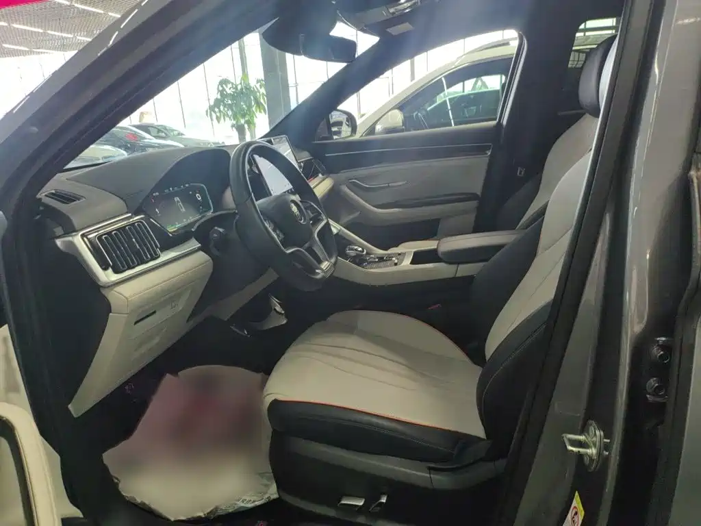 BYD PLUS New Energy — миниатюра 15
