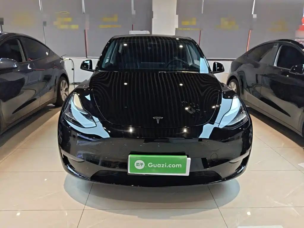Tesla Model Y — миниатюра 3