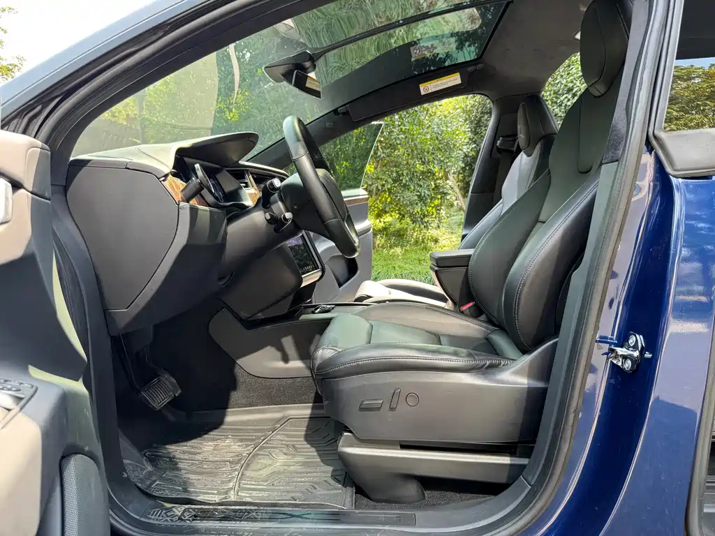 Tesla Model X — миниатюра 9