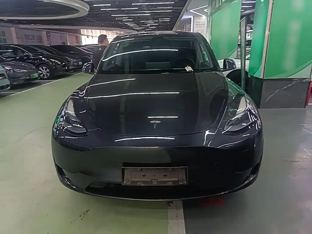 Tesla Model Y — миниатюра 3