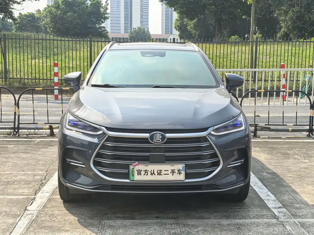 BYD Tang New Energy — миниатюра 2
