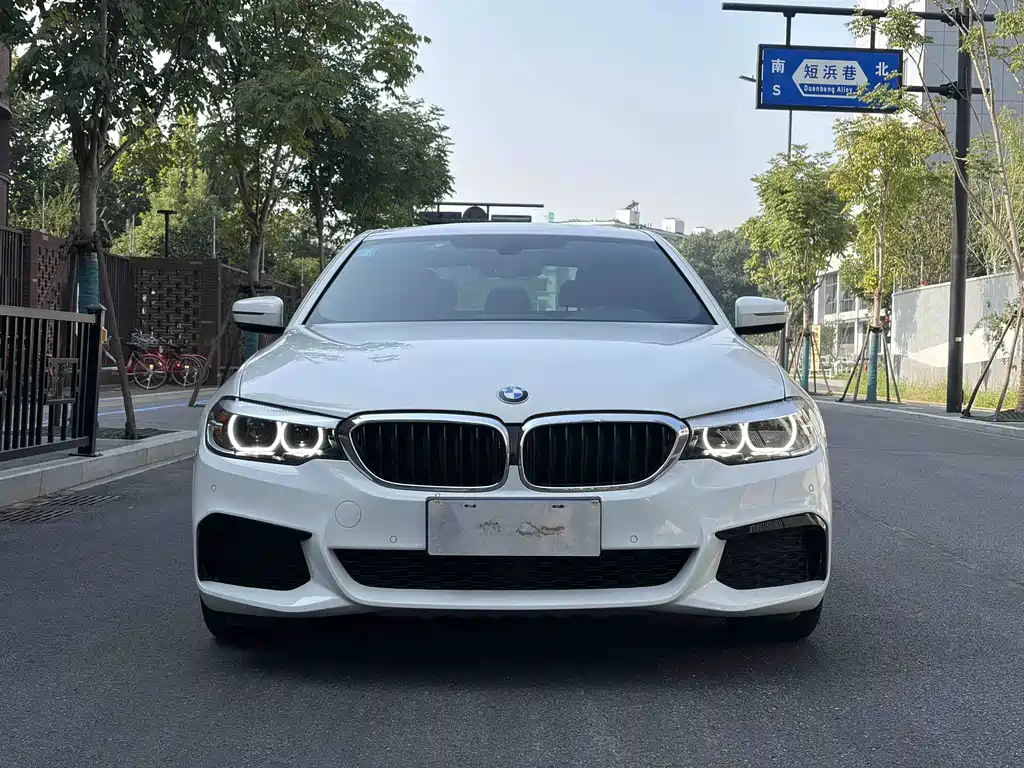BMW 5 Series (Import) — миниатюра 2