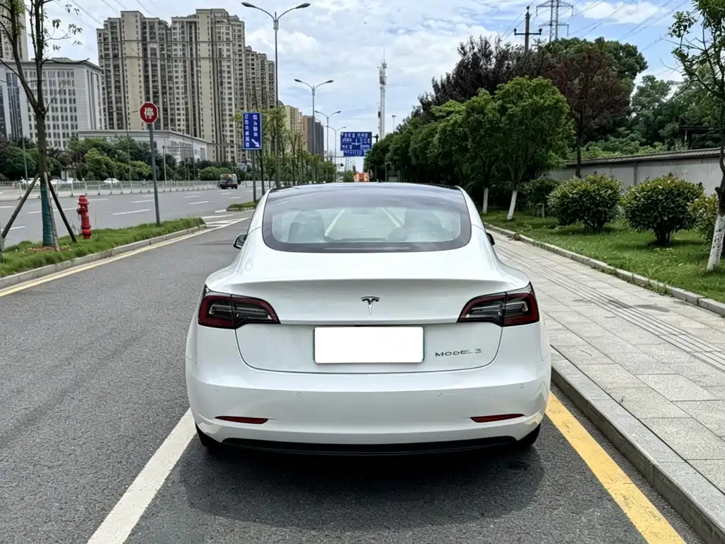Tesla Model 3 — миниатюра 8