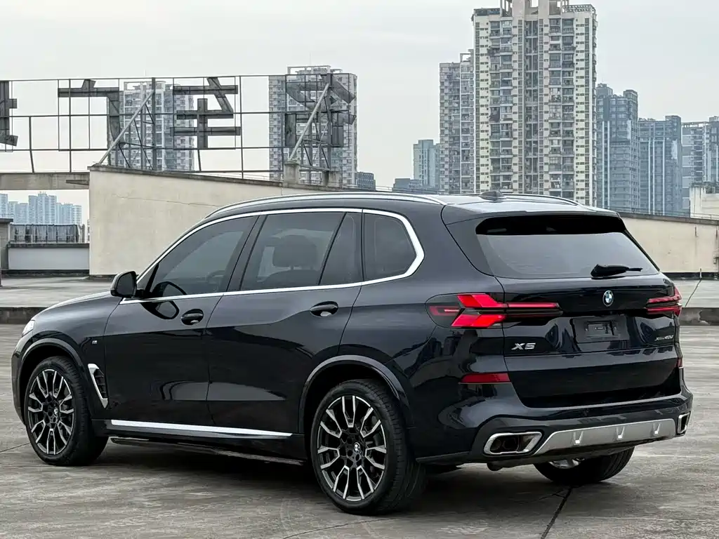 BMW X5 — миниатюра 6