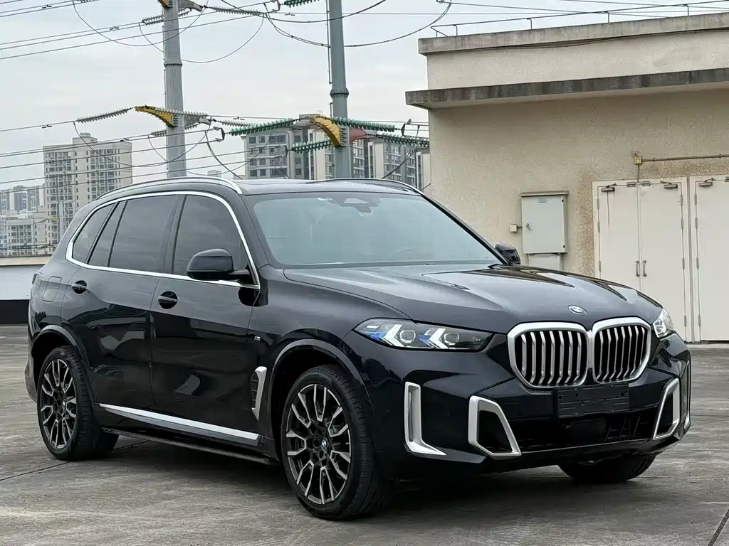 BMW X5 — миниатюра 3
