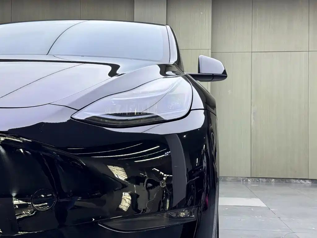Tesla Model Y — миниатюра 7