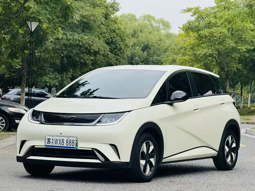 BYD Dolphin