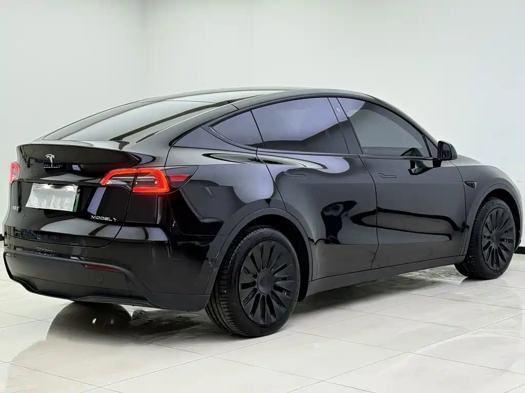Tesla Model Y — миниатюра 13