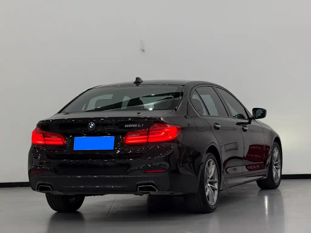 BMW 5 Series — миниатюра 4