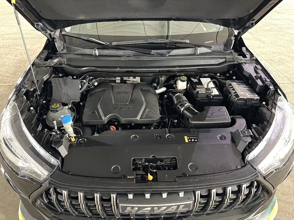 Haval Chitu — миниатюра 16