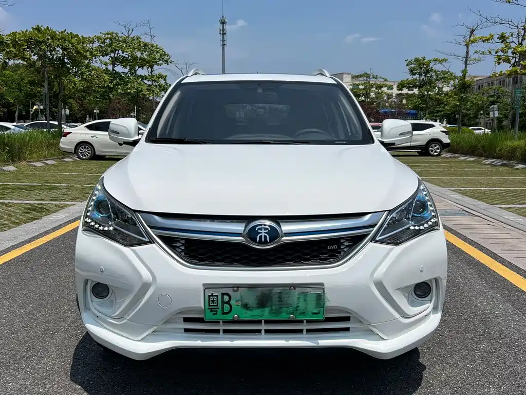BYD New Energy 2017