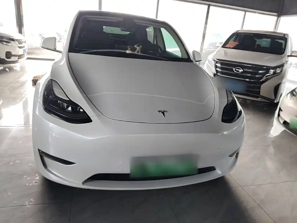 Tesla Model Y — миниатюра 3