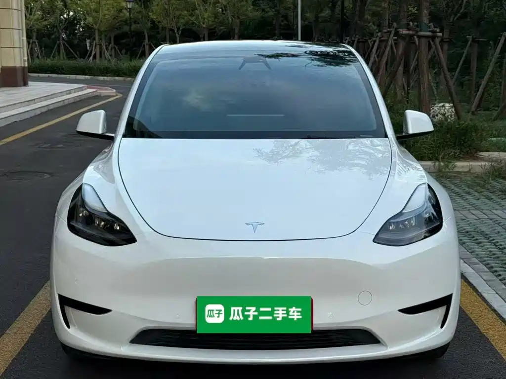 Tesla Model Y — миниатюра 3
